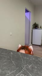 1753033183945.mp4