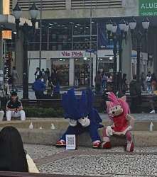 .jpg