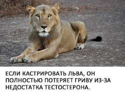 Без имени.jpg