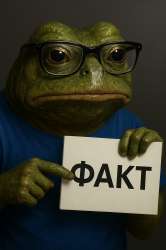 факт.png