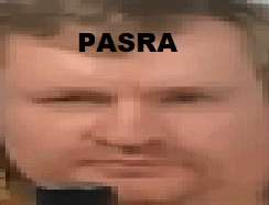 PASRA 6.gif