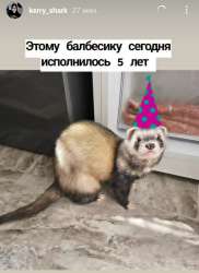 17120719774130.jpg