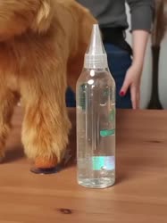 17529167643110.mp4