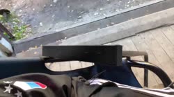 17300372829510.mp4