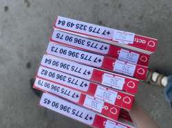 IMG6621.jpeg