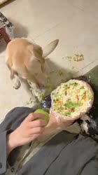 1000037601.mp4