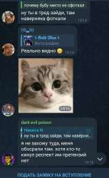 ,,,.jpg