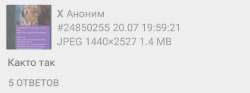 1753036502218.jpg