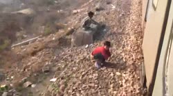 17529482735490.webm