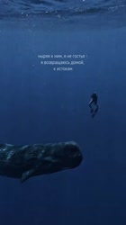 girlwithwhales2025-07-20-13-46-421753008402362.mp4