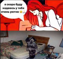 17531508321033.jpg