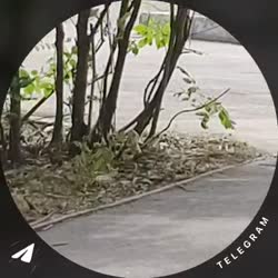1753267891288.mp4