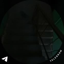 1753531075328.mp4