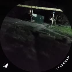 1753743269717.mp4