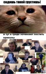 175315033160373753.jpg