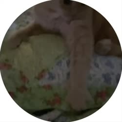 lucky.mp4