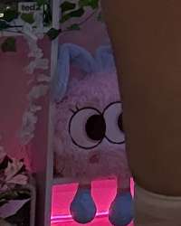 image.jpg