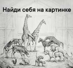IMG8878.png