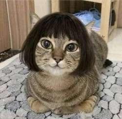 17503843799800.jpg