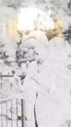 -223667047456239608.mp4
