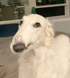 1753259587820.jpg