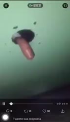 17188013947790.webm