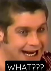 ozzy.mp4