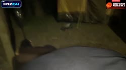 21.mp4