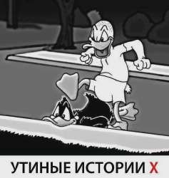 x.webp