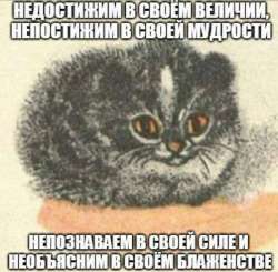 1753264130915.jpg