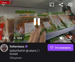Screenshot20250724-173412Twitch (1).jpg
