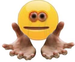 1753285138025.jpg