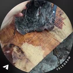 video.mp4