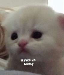 17526309762940.jpg