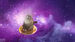 17529012301820.webm