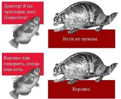 Ноги.jpg