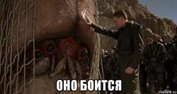 IMG9994.jpeg