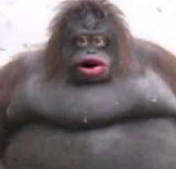 Le-Monke-meme-3-2435922775.jpg