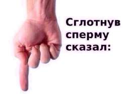 1753336188678.jpg