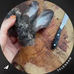 video.mp4