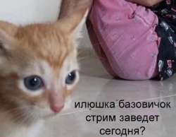 17532649259100.png