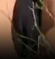 Screenshot91.png