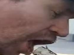A3.jpg