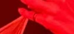 IMG2611.jpeg