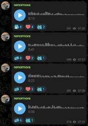 nnmv.jpg