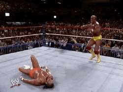 vqvij2h1yif31.gif