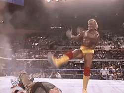 hulk-hogan.gif