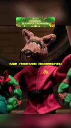 Червепахи.mp4