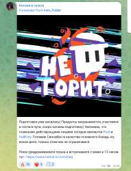 kotyka.png
