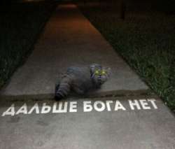 IMG20250725111153588.jpg